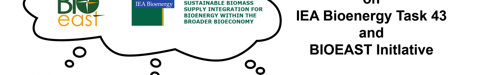 Joint IEA Bioenergy Task43 and BIOEAST Initiative Workshop