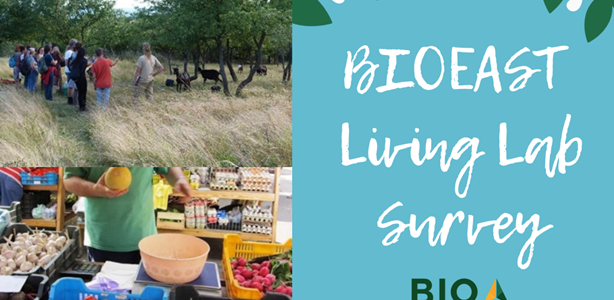 BIOEAST Survey: Mapping Agroecological Living Labs in the BIOEAST countries