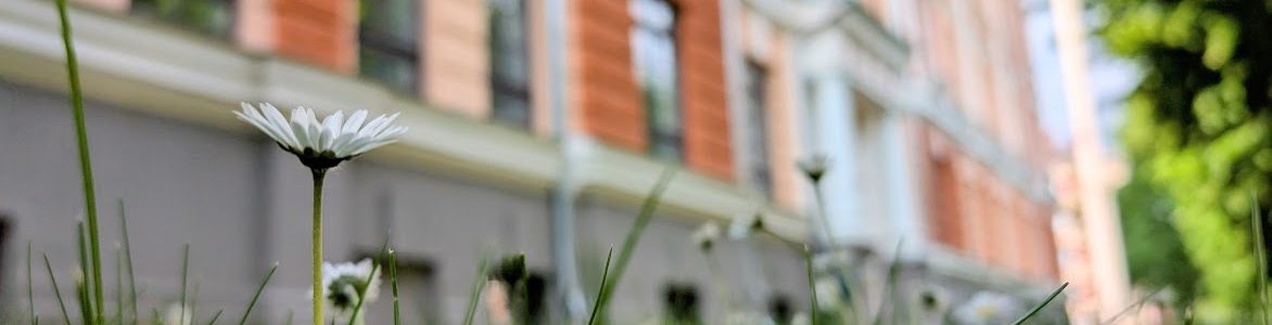 Development of Latvia’s National Bioeconomy Action Plan Has Begun