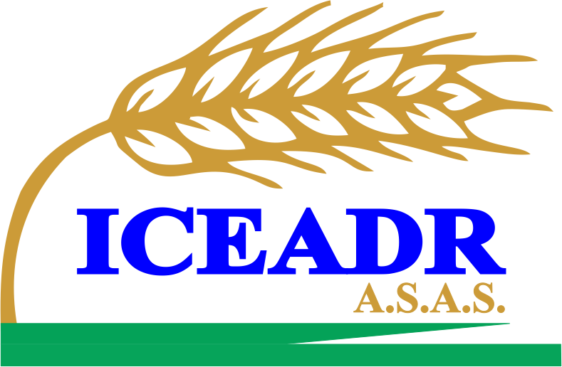 ICEADR logo