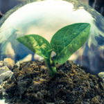 BIOECO-UP INTERREG banner