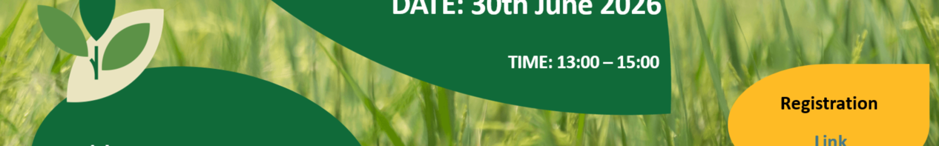 BIOEAST Science-Policy Dialogue: Wood in Sustainable Building