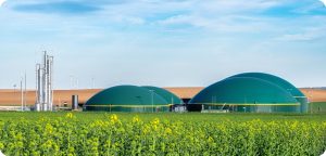 Biogas plant