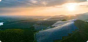 Bioenergy solar panels 